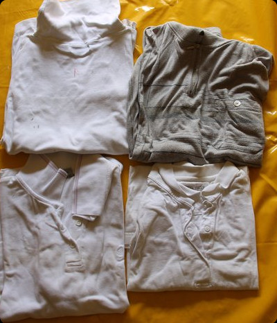 Rolleys + Polo-Shirts