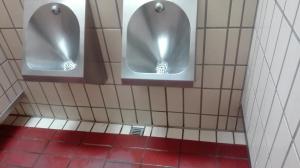 Wolfselb-Parkplatzschwuchtel Session 20170901 01